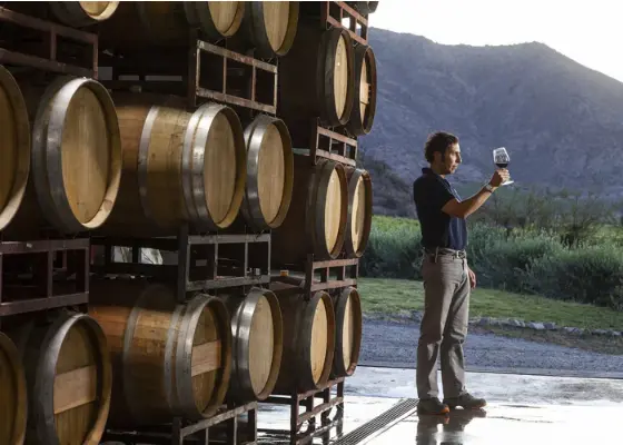 Wijnmaker Miguel inspecteert een glas wijn voor houten wijnvaten met een bergachtig landschap op de achtergrond.