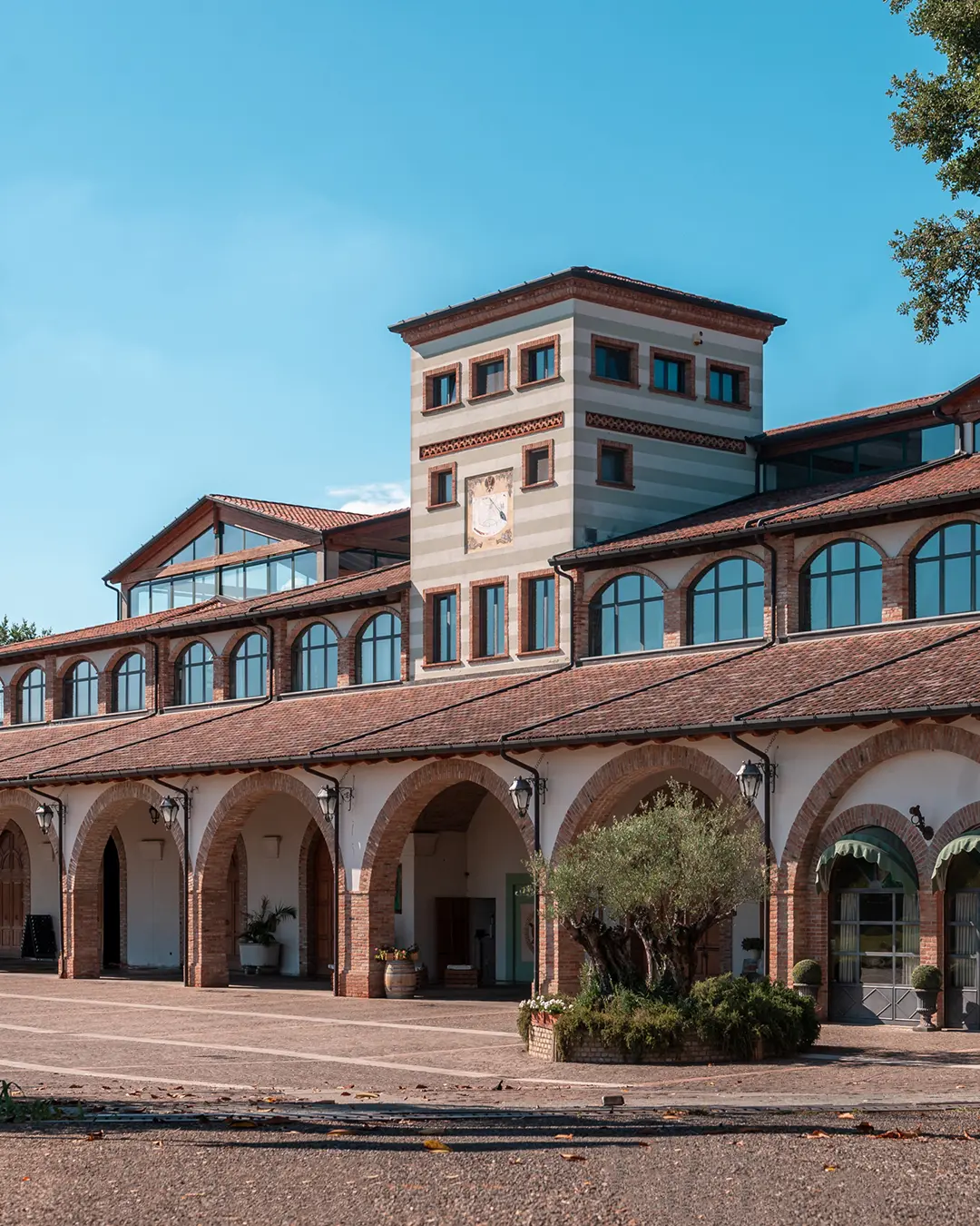 Voorzijde van het wijnhuis Corte Aura met arcades, olijfboom en historische toren, onder een heldere blauwe hemel in Adro, Franciacorta.
