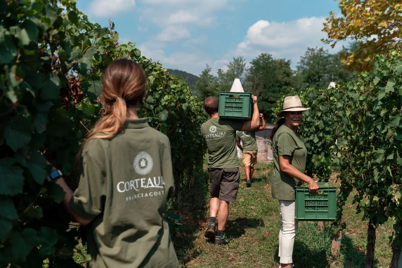 Druivenplukkers in Corte Aura-wijngaarden tijdens de oogst, gekleed in Corte Aura-shirts, met op de achtergrond het groene landschap van Franciacorta.