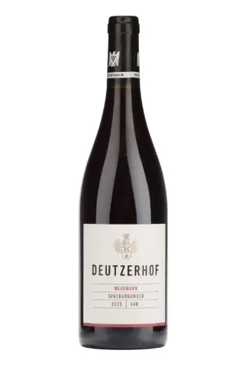 [300.015.23] Deutzerhof Neuenahr Balthasar Spätburgunder 2023 